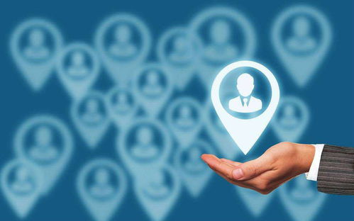 成為最受用的軟件企業 信息咨詢服務的戰略與實踐