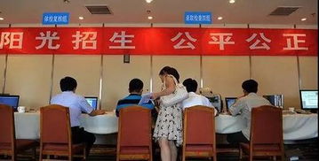 高招錄取正式啟動 石家莊市咨詢服務(wù)站電話公布，助力考生獲取關(guān)鍵信息